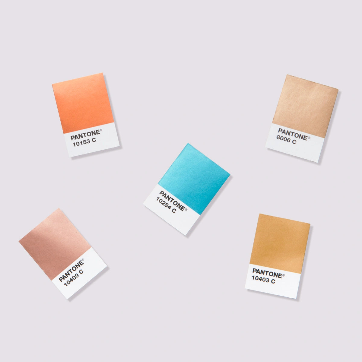 Pantone chip replacement pages | coated & uncoated